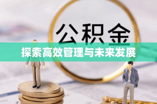 屏山探索高效管理与未来发展