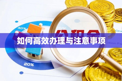 屏山如何高效办理与注意事项