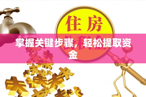 屏山掌握关键步骤，轻松提取资金
