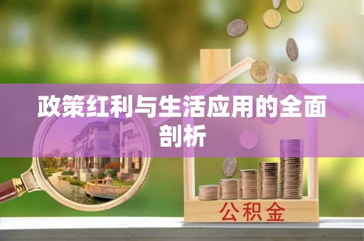 屏山政策红利与生活应用的全面剖析