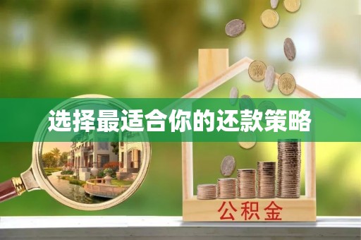屏山选择最适合你的还款策略